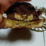 GRUN - サターンの断面