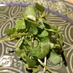 馳走 啐啄一十  - 薬味、ていれぎ(愛媛県産、学名は「オオバタケツケバナ｣、山葵の味がする草、松山市の天然記念物)