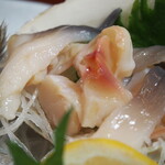 瑠玖＆魚平 - 本日のお刺身（活ほっき貝）
