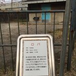 ホテルウエルシーズン浜名湖 - ろばのマック（オス）、9月に亡くなったそうです