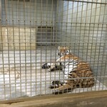 ホテルウエルシーズン浜名湖 - 