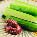 鍋居酒屋 ぼんぼり - 梅きゅう