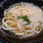 Hanamaru Udon - かけ(小)