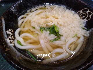 Hanamaru Udon - かけ(小)