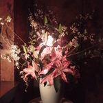 バー ジャダ - 今日は地下１階で桜の花見