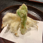 津の守坂 小柴 - 桑名の白魚とタラノメの天ぷら 太い白魚。タラの芽も春を感じる一品。