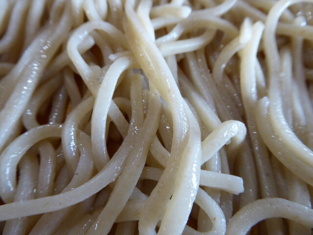 はやぶさ - 大石田（そば）の写真