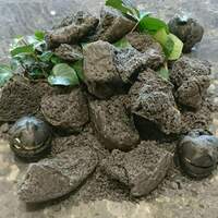 クイントカント - 