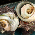 釣りバカの浜焼き小屋 - 