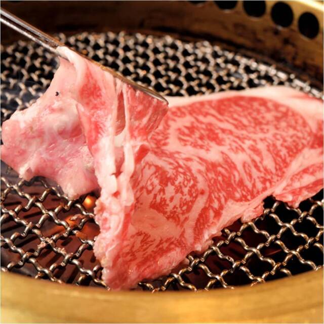 肉卸直送 焼肉 たいが 近鉄四日市駅前店 近鉄四日市 焼肉 食べログ 肉卸直送 焼肉 たいが 近鉄四日市駅前店 近鉄四日市 焼肉 食べログ