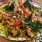 レッド オーキッド - カイヨーマーガパオ(ピータンのガパオ炒め))