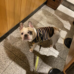 中華蕎麦 とみ田 - 