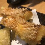 Tempura To Wain Kojima - 