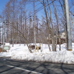 風光舎 - １本桜側からの外観