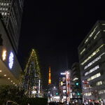 Toriya Musashi - 東京タワーからも近いので観光がてらに足を運んでみるのも悪くないかもです。
