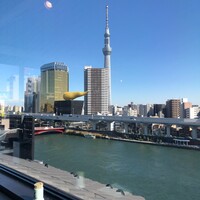 浅草むぎとろ 本店 - 