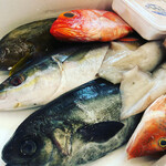 熟成魚と日本酒酒場 パルパル - 料理写真:市場で仕入れた新鮮なお魚