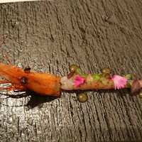 ジョンティ アッシュ - 