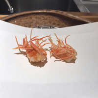 天ぷら 銀座おのでら 並木通り店 - 