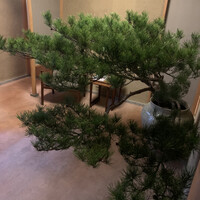 緒方 - 