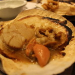 本気焼肉 肉とめし 肉寿司 - ◉活ホタテのいそべ焼
      お刺身でも食べれる大粒のホタテにバター醤油
      網で焼き‥食べる時はホタテの身とミミを海苔に包みいただきます　