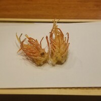 天婦羅 みやしろ - 