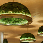 Pepper PARLOR - ドライモスのグリーンライト