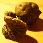 粟 - 宇宙芋となんとか芋