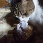 クレーム プリュス - 猫もちょい舐め☆