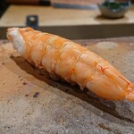 鮨なかもと - 天使海老