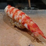 鮨なかもと - 車海老