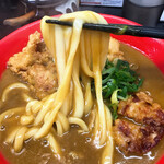 極楽うどん TKU - 麺のアップです。（2020.2 byジプシーくん）