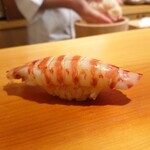 鮨 あらい - 車海老