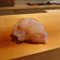 鮨 あらい - ボタンエビ