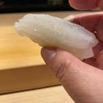 こま田 - あおりいか