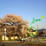  カフェ＆レストランCAVA - 上賀茂橋東詰からみえるCAVA