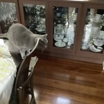 パン・デ・フィロゾフ - 飛び移る伝次郎②