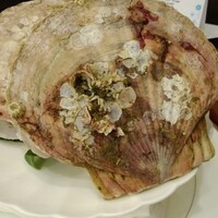 Ristorante IL PRINCIPE - 帆立貝