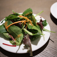 COLONIAL BEACH 横浜ハンマーヘッド - 