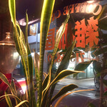 雑伽屋 - 