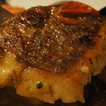 クロッキオ - 真鯛デカイ