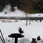 くつきそば 永昌庵 - 