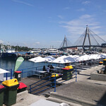 Sydney Fish Market - 