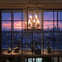 Benoit Alain Ducasse - 