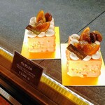 レタンプリュス - 