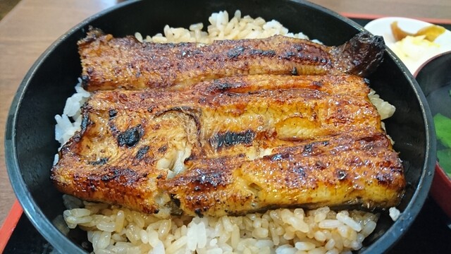 かめや 武蔵小杉 うなぎ 食べログ