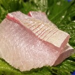 鮨匠 のむら - (06)勘八の子(鹿児島県開聞岳沖産、1.5kg、朝〆)
      産卵期は春～夏、旬は秋～冬
      若さ故の爽やかな甘さが鮮烈です
      のむらさんでは青物は爽やかな香りを楽しんで貰うというポリシーから子供サイズがメイン