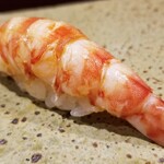 鮨匠 のむら - (19)車海老(鹿児島県出水産)
      産卵期は初夏～初秋、旬は初夏～初秋。
      アツアツの茹で海老、車海老らしい濃厚な味を温かい茹で立てと温かいシャリで握って下さいます。