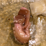 うを徳 - 赤貝紐