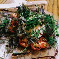 ブラチェリア バーヴァ -  ブラチェリア バーヴァ -